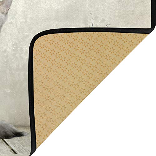 Moyyo Kitchen Mat Animal Funny Cute Cat Fish Kitchen Rug Mat Anti-Fatigue Comfort Floor Mat Non Slip Oil Stain Resistant Easy To Clean Kitchen Rug Bath Rug Carpet For Indoor Outdoor Doormat #TOP2