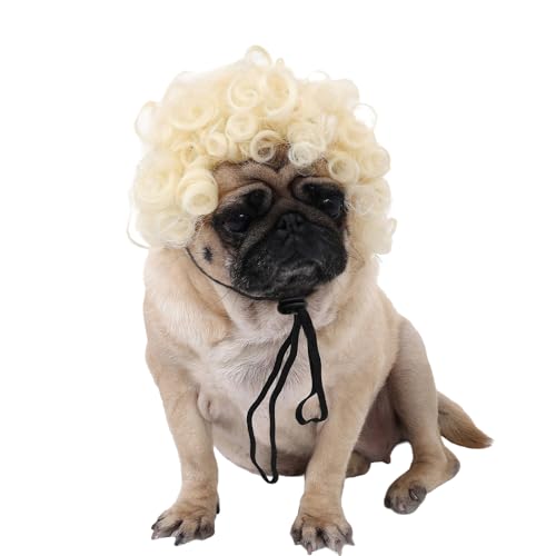 ybgEBbO  RXv  蕨 AtwA[^QGwA fB[X ʔ nEB RX`[ EȒP ߉\ ^ q qL ^ ybg ϐg Be 2F