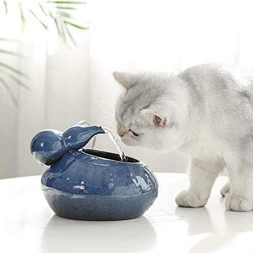 Distributeur d'eau Électrique en Céramique pour Animaux de Compagnie de Fontaine d'eau de Fontaine de Chat