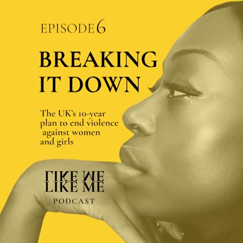 EP 6. Breaking it Down - The UK&rsquo;s 10-year plan to end violence against women and girls