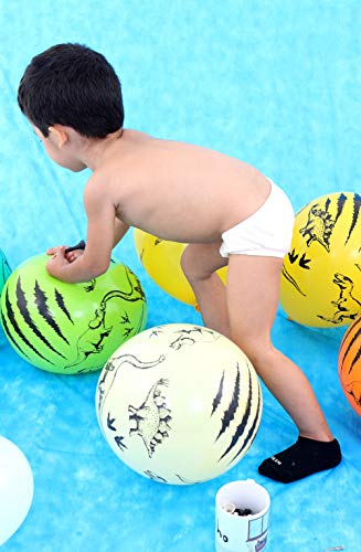 Kit 12 Cuecas Algodão Juvenil Mechler Multicolorido