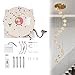 LOHISHILO 2-in-1 Chandelier Hoist Lifter System, 6m/19.69ft Remote Control+Wall Switch Electric Motor Winch Lighting Lifting, Max Capacity 330lbs Hoist Lift for Villas, Duplexes, Silver