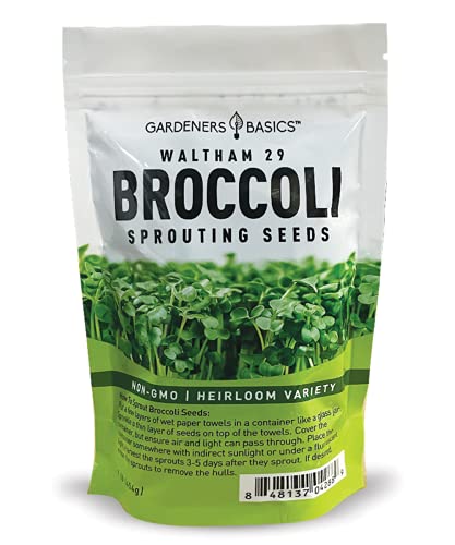 Gardeners Basics Broccoli Seeds for Sprouting Kit and Microgreens Non-GMO Heirloom Bulk 1 Pound Resealable Sprouts Bag