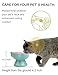 Whimsicalfox Raised Cat Slow Feeder Bowl, Ceramic Raised Pet Dishes, No Black Chin, Flower Shaped, for Dry and Wet Food, Non-Slip, Dishwasher Microwave Safe (Pink)