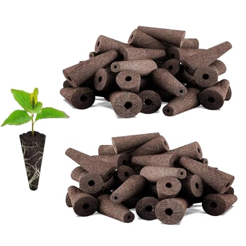 Changyeah Esponjas de crecimiento, 50 unidades de repuesto para sistemas hidropónicos, compatibles con sistema hidropónico para interiores