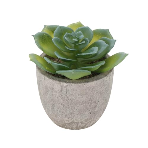 KJOET tFCNO[ CeAO[ A lH bsv  ~j A  킢  fXN oX[ Lb` Type 9