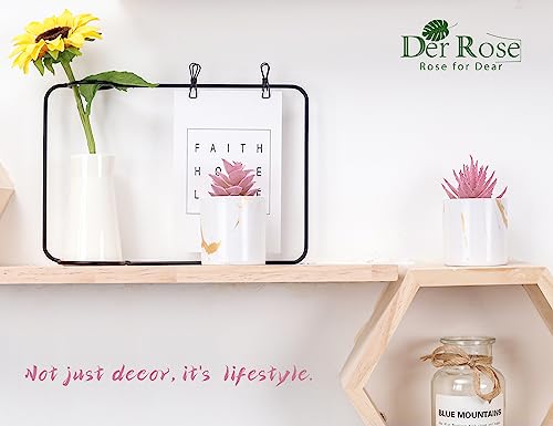 Der-Rose-Set-of-2-Succulents-Plants-Artificial-Mini-Fake-Succulents-Plants-for-Home-Office-Desk-Accessories-for-Women
