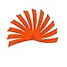 50 Pcs 4 Inch 5 Inch Archery Arrow Fletching Turkey Feather Fletching Right Wing Left Wing Feather Real Arrow Vanes for Hunting Arrow Accessories DIY Archery (5 inch/Right Wing, Orange)