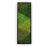 yersiz Large Moss Pattern Wall Art, Real Moss Wall Art for Living Room & Bedroom, Vintage Wall Panels for Interior Wall Decor, Bathroom & Home Decor, Eco-Friendly Natural Green Wall Decor