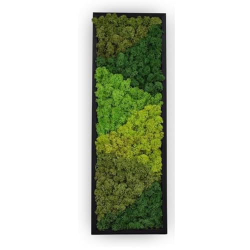 home best moss wall art