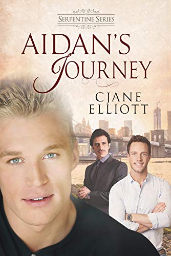 Aidan's Journey view 2