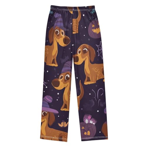 ZZXXB Dachshund Spider Web Boys Long Pants Soft Trousers Elastic Waist Kids Lounge Bottoms with Pockets S-XL2