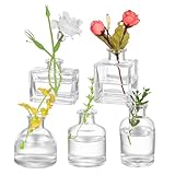 5 Stück Kleine Vasen für Tischdeko, Kleine Glasvasen, Blumenvasen, Gläser Tischvasen Set, Mini Vasen, Minivasen für Table Centrepieces Festivals Home Decoration Geburtstag Hochzeitsdeko
