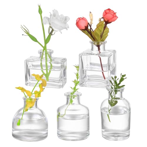 5 Pcs Jarrones de Cristal, Jarron Cristal Decoracion, Jarron Flores Transparentes Pequeños, Jarrón Cristales Floreros para Decoración de Mesa, Centro de Mesa, Decoración de Bodas y Fiestas