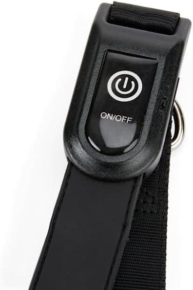 Youly The Extrovert LED Dog Leash, 6 ft.