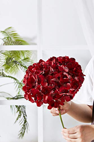 Kislohum Hydrangea Silk Flowers Heads With 10 Stems Burgundy Artificial Hydrangea Flower Head For Wedding Centerpieces Bouquets Diy Floral Decor Home Decoration #TOP1