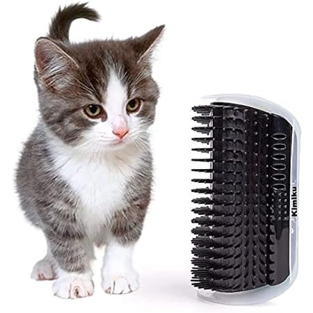 cat brush corner