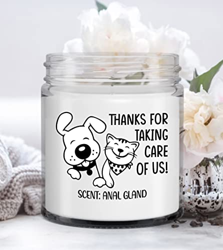 TBP Veterinary Life Candle Thanks Taking Care of Us Scent Anal Gland Thank You Gift Coworker Assistant Vet Tech Veterinarian, Vet Gift Birthday Christmas Gift Vet Tech Week House Decoration, Ivory