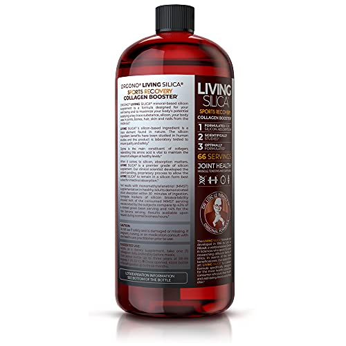 Living Silica Sports Recovery | Vegan Joint Recovery | Pre & Post Workout Recovery Supplement | Supports Tendon, Ligament And Cartilage Health, Energy And Endurance. #TOP1