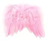 Touch of Nature Mini Feather Wings 7x6 Light Pink 1pc (10978)