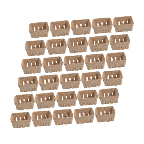 Ciieeo 40Pcs Berry Basket Pulp Storage Containers for Fruits Snacks Household Items for Picnics Home Organization