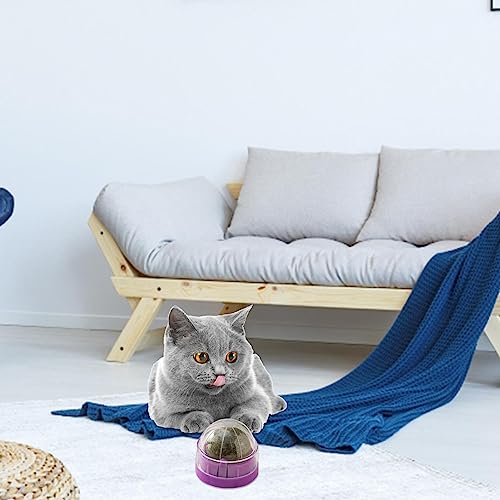 Tumotsit Wand Katzenminze, essbares Bio-Spielzeug für Kätzchen, Kauspielzeug mit Kugel, Katzenminze, Wand, Leckbälle für Katzenminze