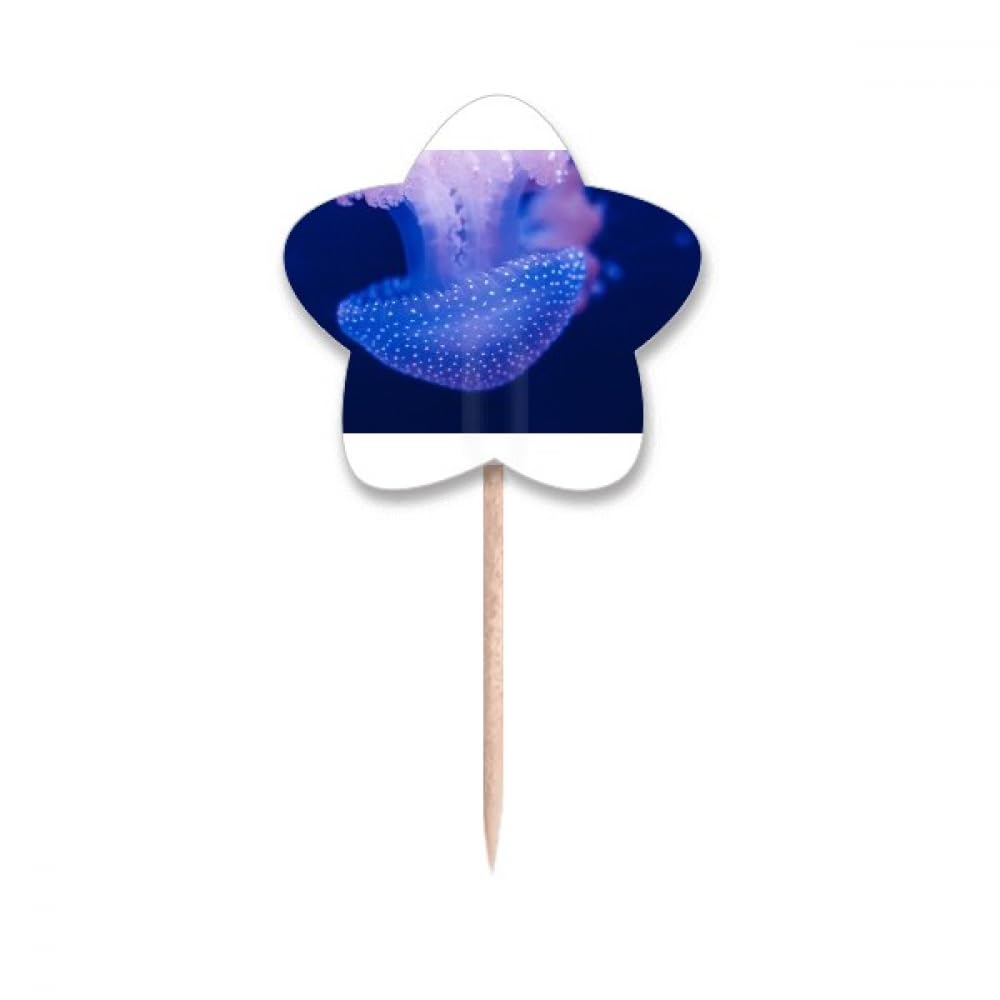 Pics de cupcake méduse et étoile de mer pour décoration de fête tropicale et buffet marine x24