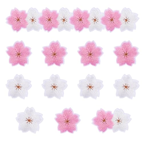 Pianta Di Rosa Damascena, Rosa, Fiore, Floreale Immagine PNG e clipart