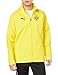 Produktbild PUMA Borussia Dortmund All Weater Regenjacke gelb/schwarz, XXL