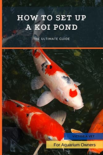 How to Set up a Koi Pond: The Ultimate Guide