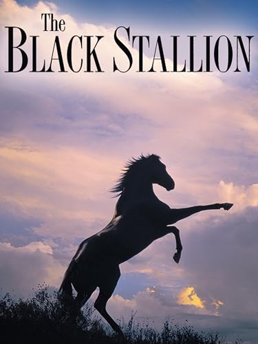 The Black Stallion