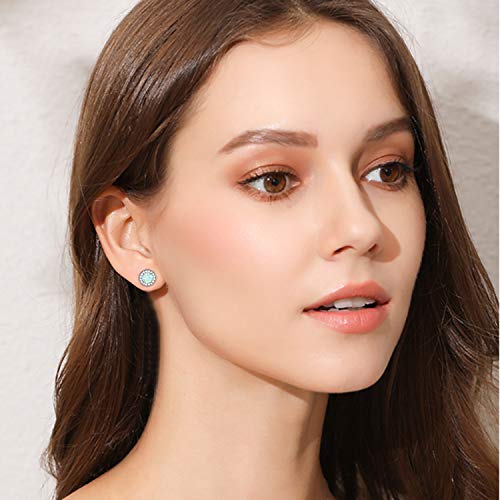 White Gold Plated Opal Stud Earrings For Women And Girl,Cubic Zirconia Halo Opal Jewelry For Women(Sparkly Round -Shape) #TOP4