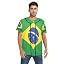 National Flag of Brazil