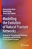Modelling the Evolution of Natural Fracture Networks: Methods for Simulating the Nucleation, Propagation and Interaction of Layer-Bound Fractures