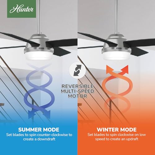 Image of Hunter Dempsey, Indoor, Ceiling Fan, Modern, 52 inch, Brushed Nickel