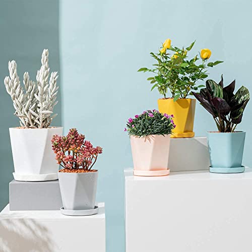 LATERN 6Pcs Plastic Plant Pots, 13CM Colorful Flower Pot Root-Control Seedling Planter Nordic Style Garden Pots with Saucer for Flowers Herbs Succulents Cactus (6 Colors) - Cosy Home Interiors LATERN 6Pcs Plastic Plant Pots, 13CM Colorful Flower Pot Root-Control Seedling Planter Nordic Style Garden Pots with Saucer for Flowers Herbs Succulents Cactus (6 Colors) - Image 7