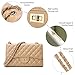 DIUY Quilted Leather Crossbody Bags for Women Trendy Ladies Shoulder Purse Satchel HandBag with Chain Strap, Apricot