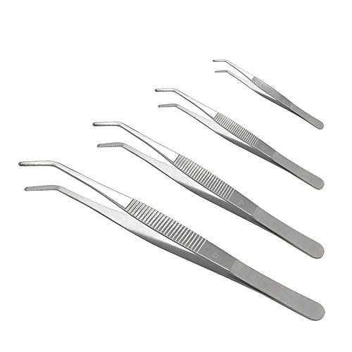 Daimay Aquarium Tweezers Stainless Steel Feeding Curved Tweezers Aqua Scraping Tweezers Set