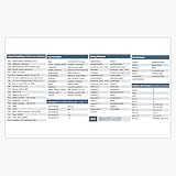 Leyland Designs Programming Python - CheatSheet Bumper Sticker Window Water Bottle Decal 5''