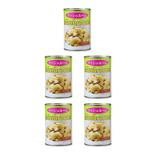 Vandro }bV[(_XCX) 4 ×5  (VandroSt)