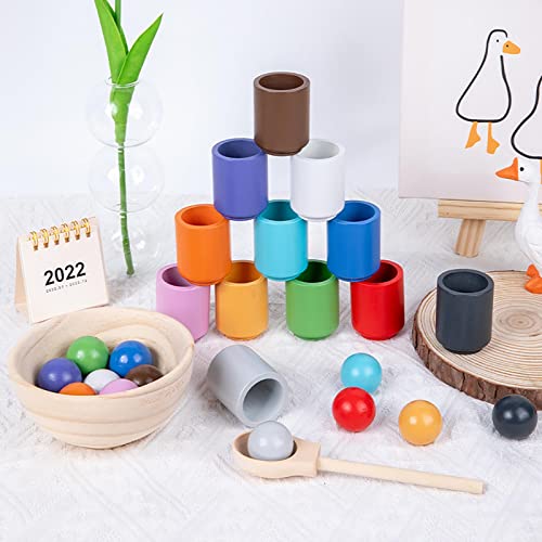 Jouet sensoriel en bois pour l'apprentissage des couleurs et la perception - 6