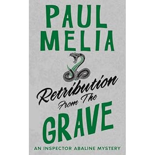 Retribution From The Grave Audiolibro Por Paul R Melia arte de portada