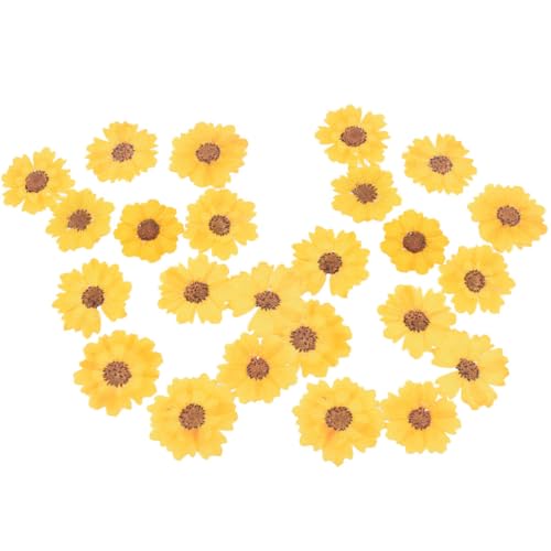 HANABASS ֖ڋe ԃhCt[ 24Zbg DIYH|p ȉ 瑕 lCA[g ubN}[N oCP[X Lhp