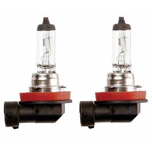 2x H11 Halogen 55W 12V Low-Beam Car Headlight Fog/Driving DRL Bulbs Clear Glass