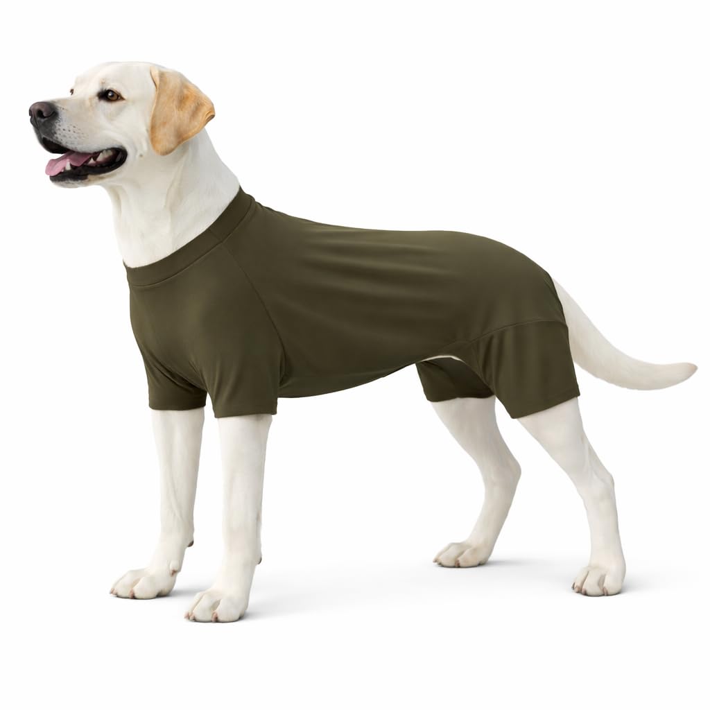 Lovelonglong Dog Full Bodysuit – Stretchy Yoga Fabric 4-Leg Dog Pajamas, Breathable & Lightweight Dog Onesie for Indoor & Outdoor, Shedding Control & Travel Wear Green 3XL