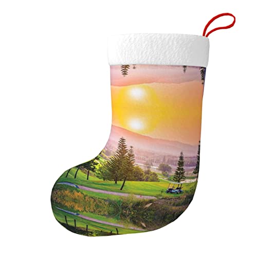Calcetines decorativos de Navidad para parque de golf (diseño de doble cara), bolsa de regalo adecuada para decoración familiar de vacaciones, color negro, talla única más alta
