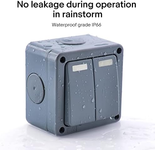 NineLeaf Dual Waterproof Switch, 10A 2 GANG Outdoor Double Light Switch for Garage Garden and Workshop, 220V 230V 240V, Grey,DPDT