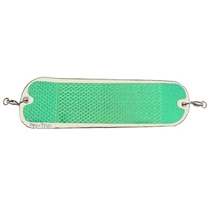 ProChip 8-Inch Flasher