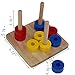 Montessori Infant Toys Materials for Toddlers 6 Months-1-2 Year Old Babies Infant & Toddler Materials Discs on Horizontal Dowel 4 in 1