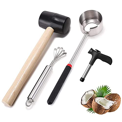 HZIYOU Coconut Opener Tool Set, Stainless Steel Coconut Opener Kit, Shell Opener, Hammer, Coco Grater, Hole Opener (4pcs)